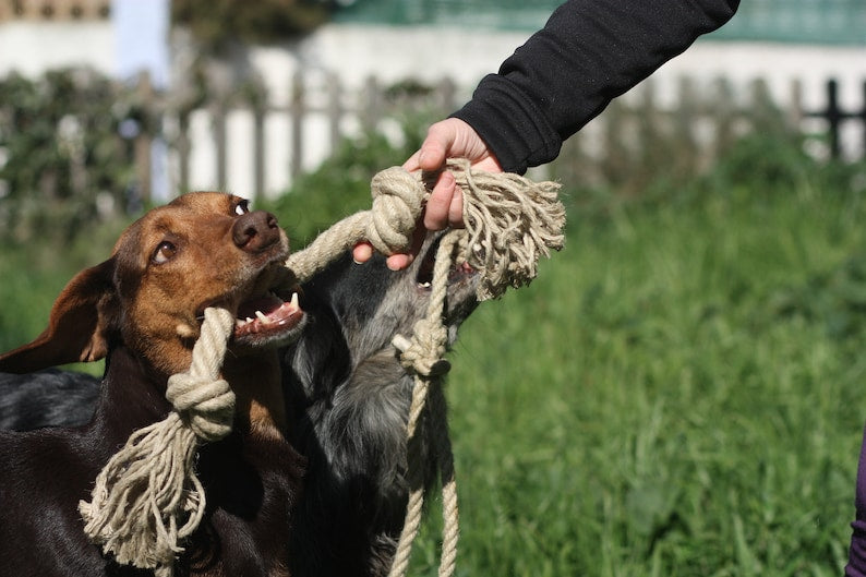 Organic hemp rope dog toy, Made for serious chewers, Eco friendly and natural dog toy, Large size handmade toy for dogs, Pet chew toy