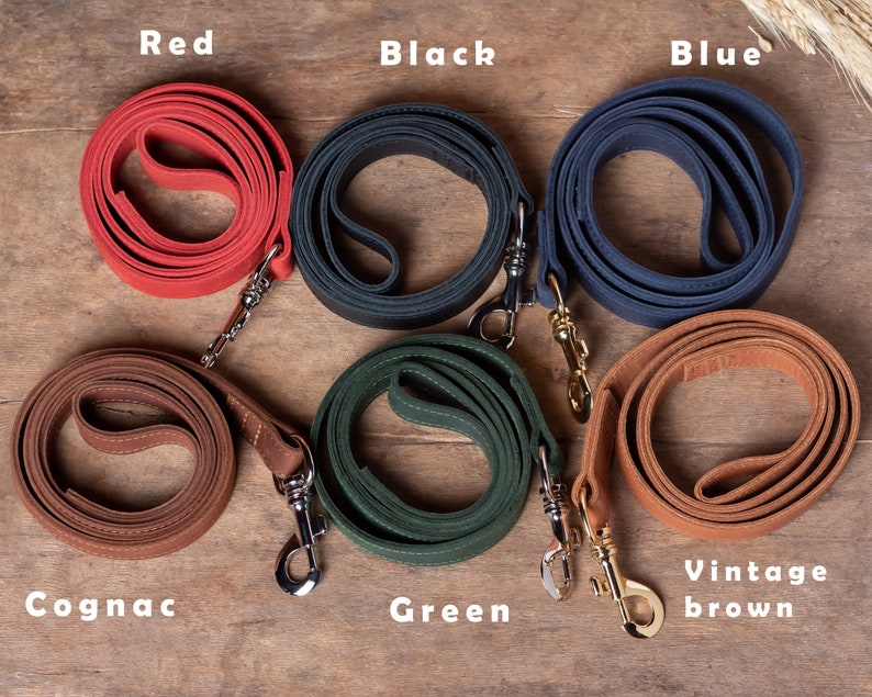 Leather Dog Double-Sided Leash With Handle for Small and Large Dogs
