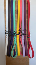 Biothane Dog Lead - Waterproof Dog Leash