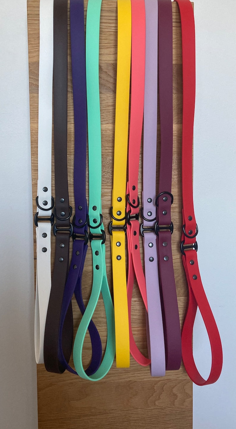 Biothane Dog Lead - Waterproof Dog Leash