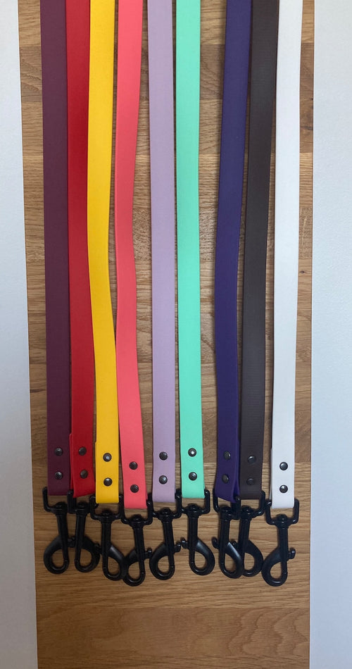 Biothane Dog Lead - Waterproof Dog Leash