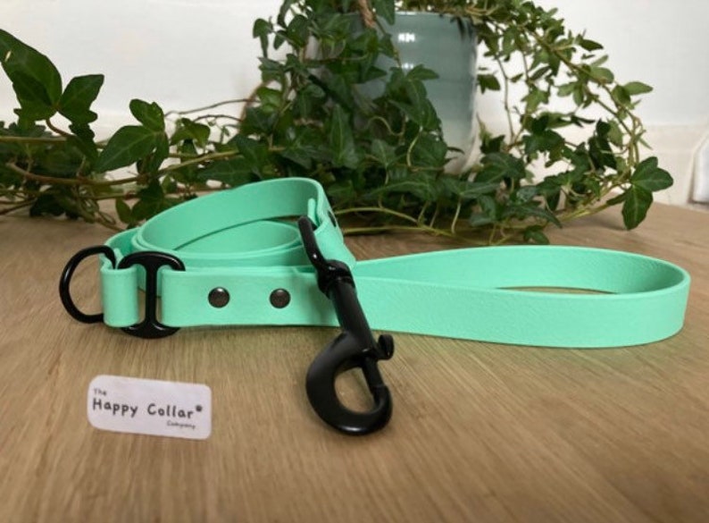 Biothane Dog Lead - Waterproof Dog Leash