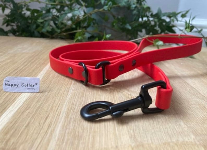 Biothane Dog Lead - Waterproof Dog Leash