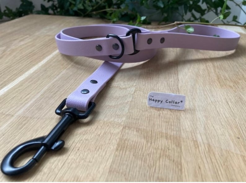 Biothane Dog Lead - Waterproof Dog Leash
