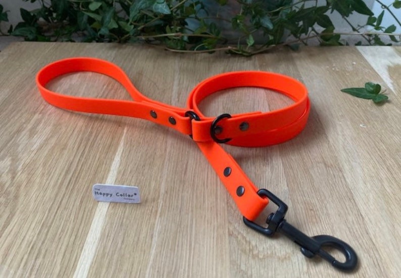 Biothane Dog Lead - Waterproof Dog Leash