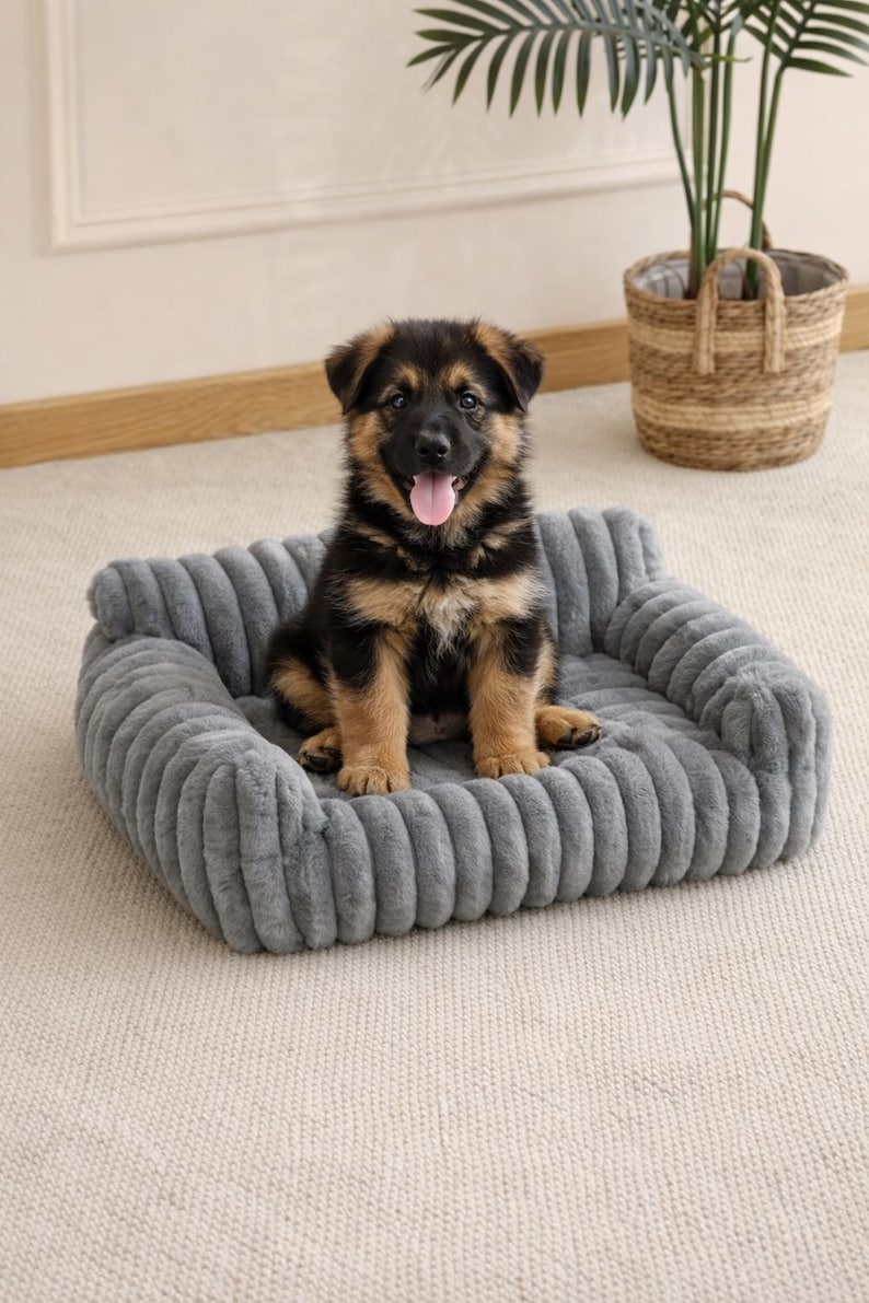 Dog and Cat Sofa Bed – Cozy Pet Couch