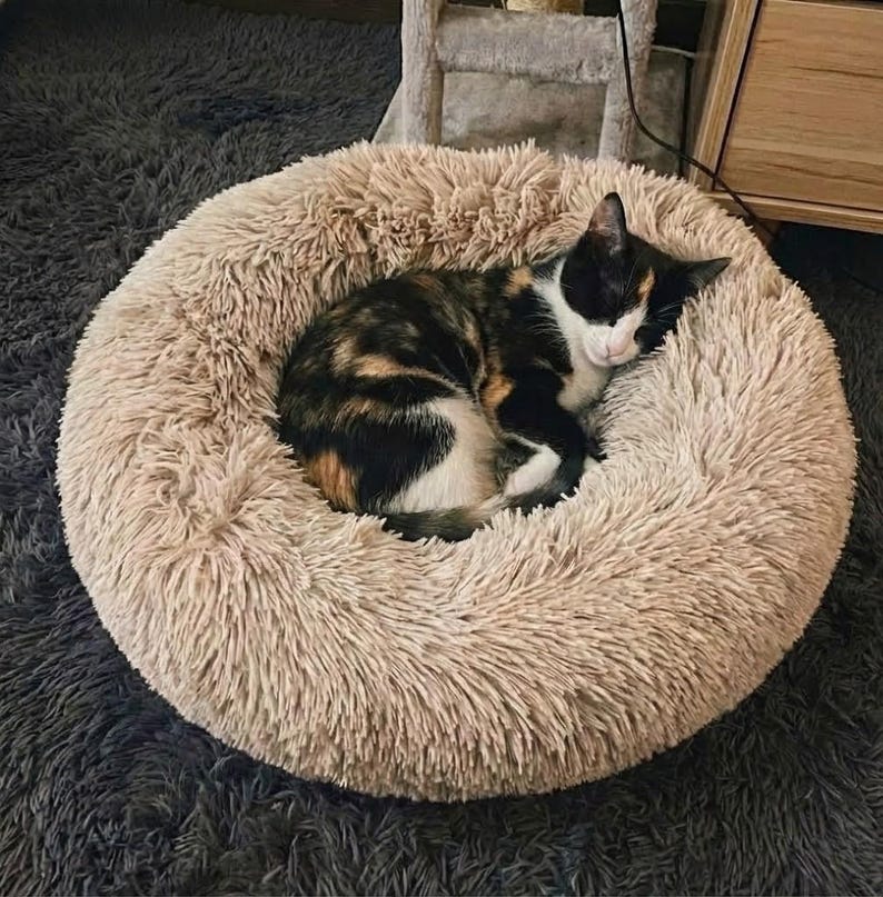 Calming Donut Bed For Cats and Small Dogs, Washable