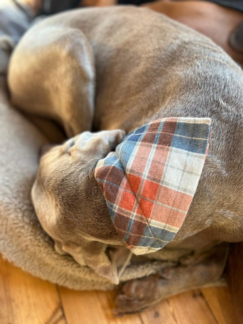 Handmade Slip On Dog Bandana